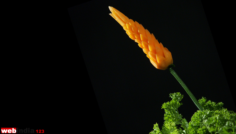 Carrot Flower